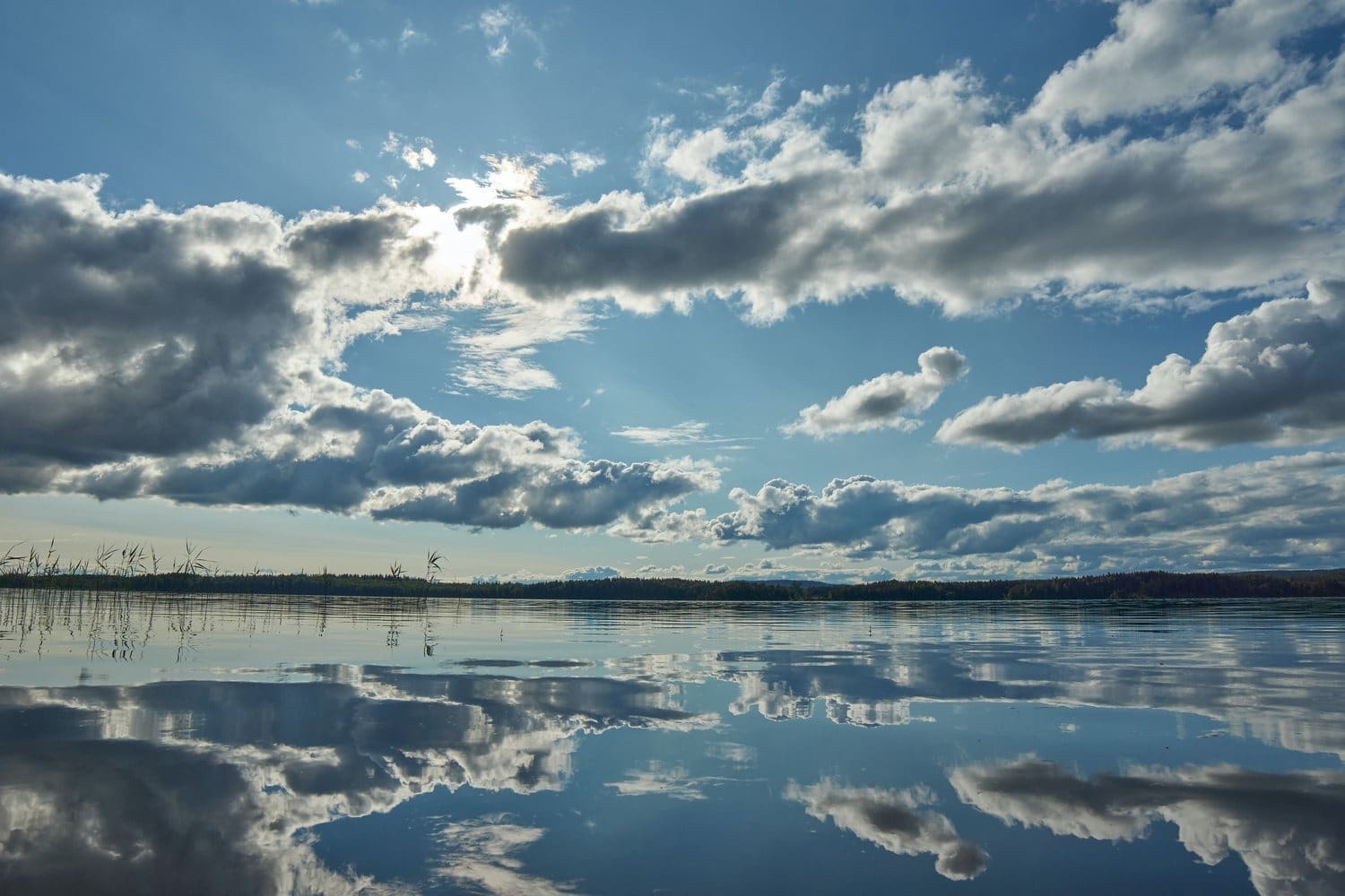 weather data and climate pattern